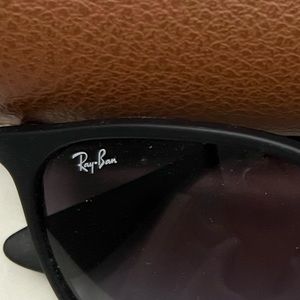 Ray Ban Unisex Erica Sungasses with Case